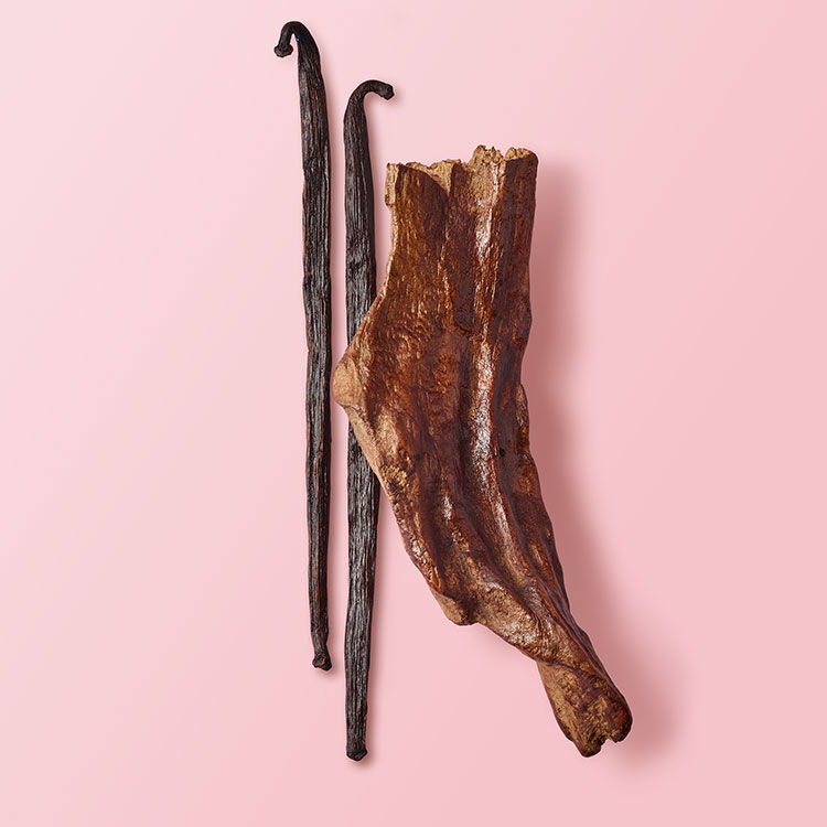 A piece of vanilla pod and two whole vanilla beans on a pink background.