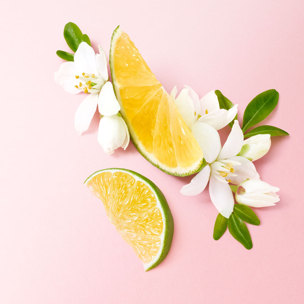 A bright arrangement featuring lemon and lime slices surrounded by white flowers and green leaves, set against a pink background.
