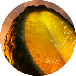 Calabrian bergamot citrus slice on a warm amber sky background — Calabrian bergamot essentielle top note of I Will Eau de Parfum by Giorgio Armani.