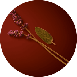 A circular image featuring two lavender flower stems and a textured green leaf on a deep red background.
