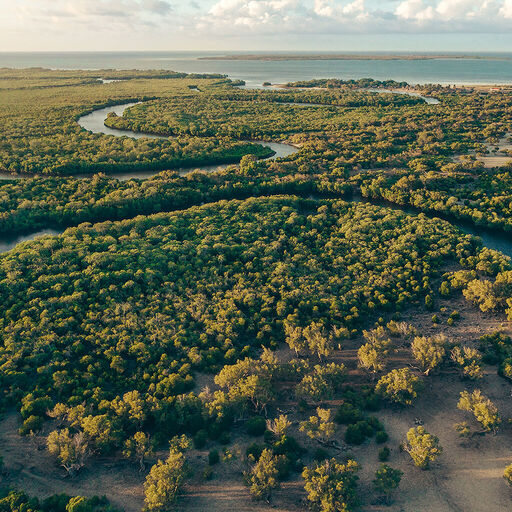 Vista aerea de un exuberante y verde bosque de manglares, dividido por un rio sinuoso. Esta imagen representa el compromiso de Armani con las practicas sostenibles y una filosofia de "Disenado para durar".