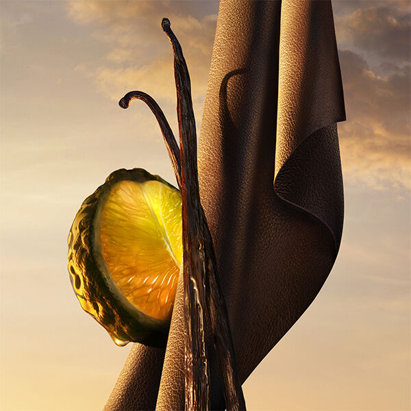 Composicion que evoca las notas olfativas de un perfume: rodaja de citrico, vainas de vainilla y tela de cuero marron, sobre un fondo de cielo al atardecer