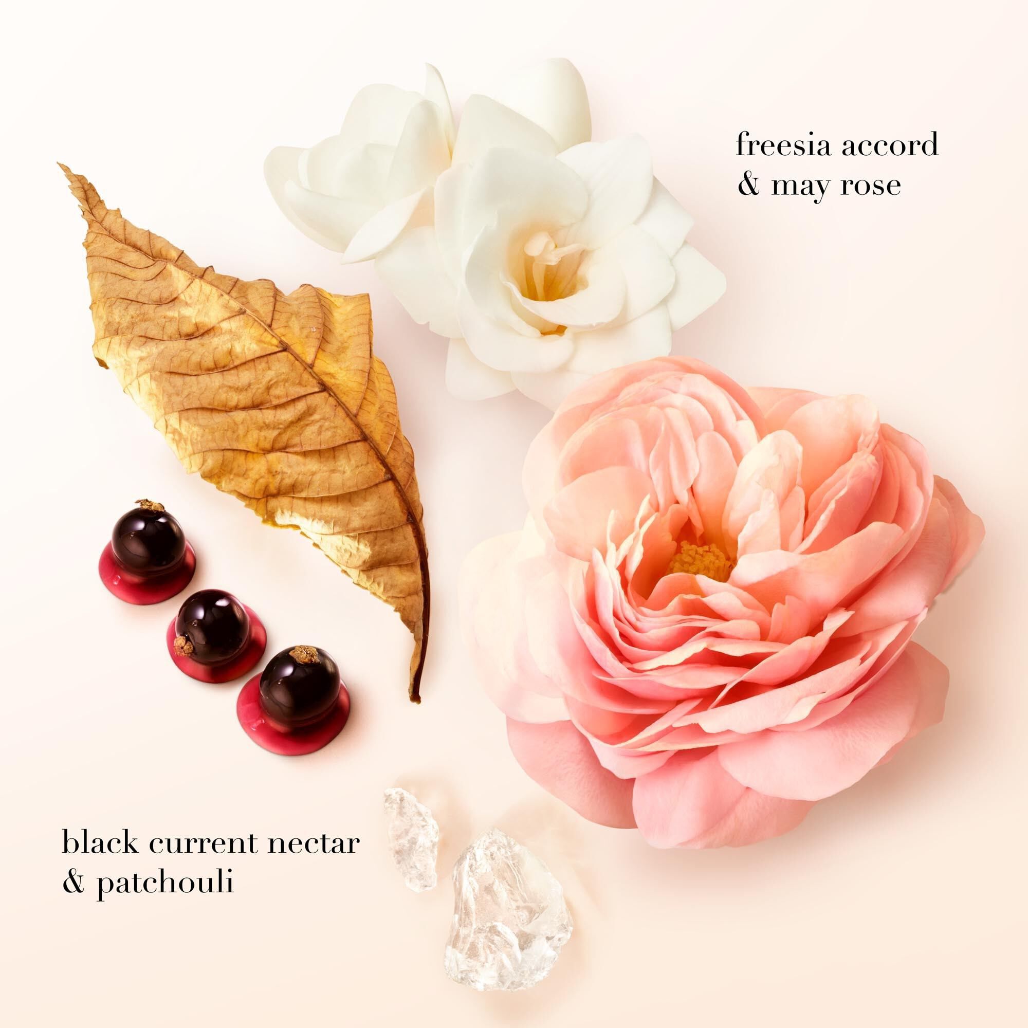 SI EAU DE PARFUM 50ML SET DE REGALO