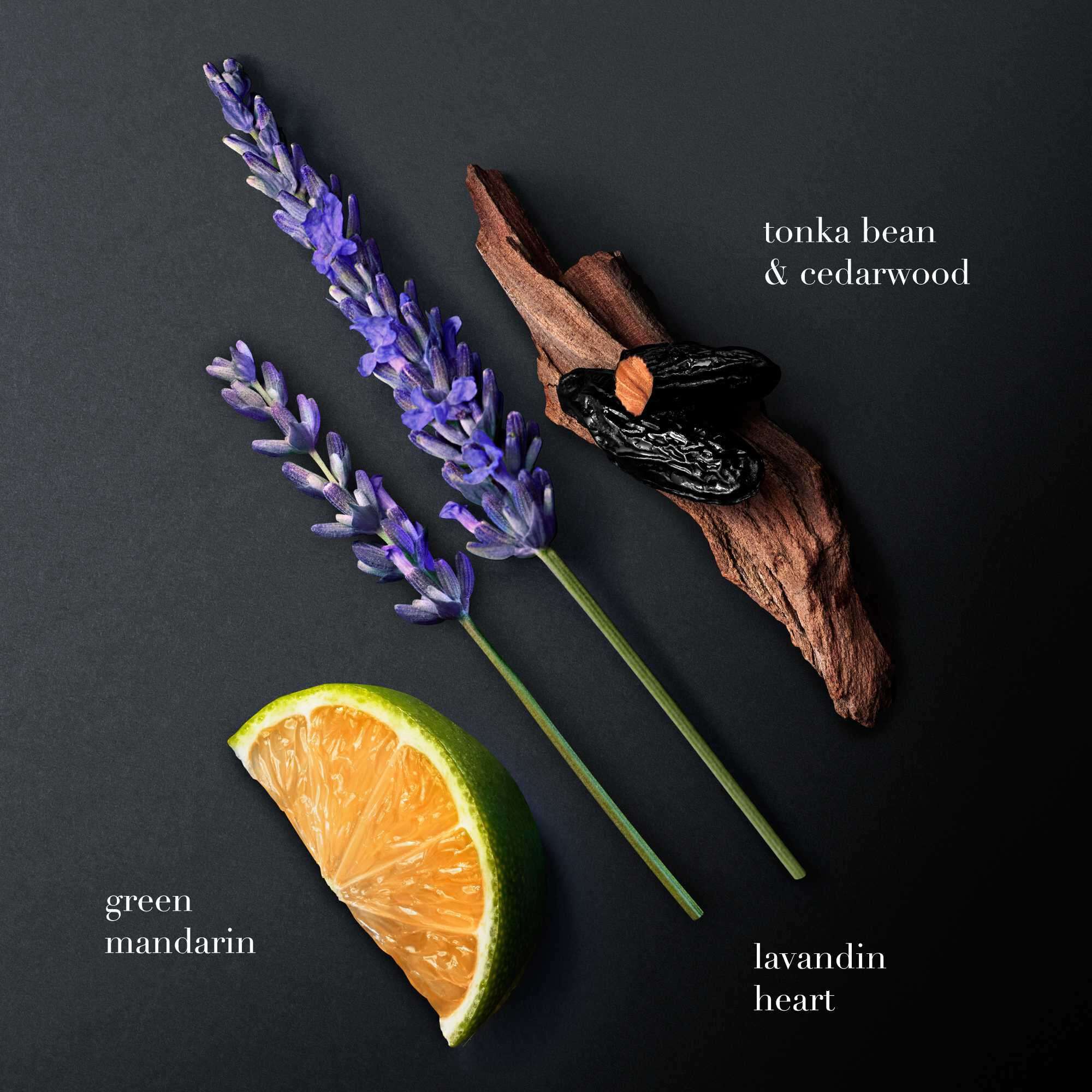 Una vista plana sobre un fondo oscuro muestra tres ingredientes clave de la fragancia: mandarina verde, lavandin morado (lavanda) y madera de cedro con brillantes habas tonka negras. Cada elemento esta etiquetado: "mandarina verde", "corazon de lavandin" y "haba tonka y madera de cedro".