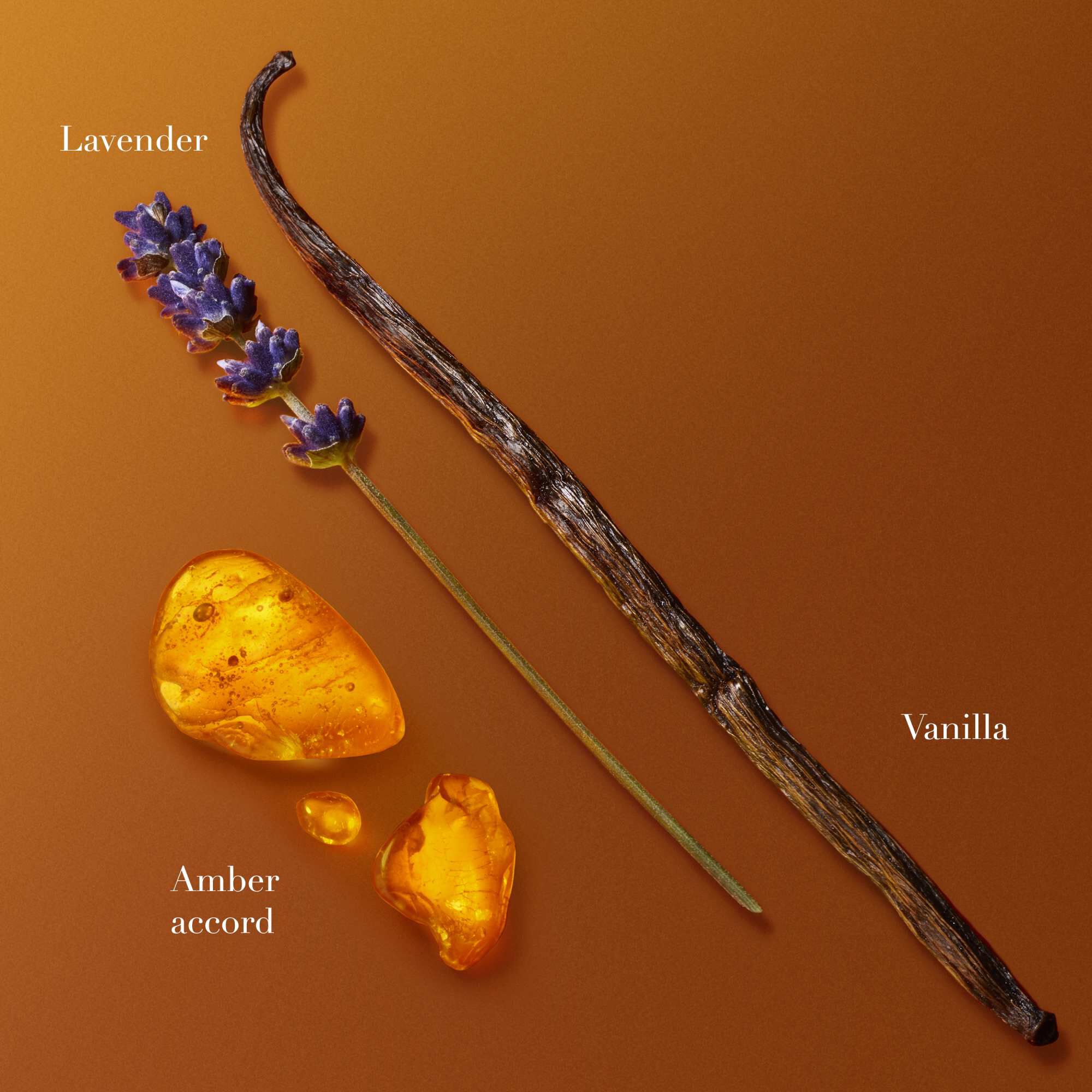 Vainas de vainilla, lavanda y trozos de resina de ambar dispuestos sobre un fondo naranja calido, mostrando los ingredientes de la fragancia