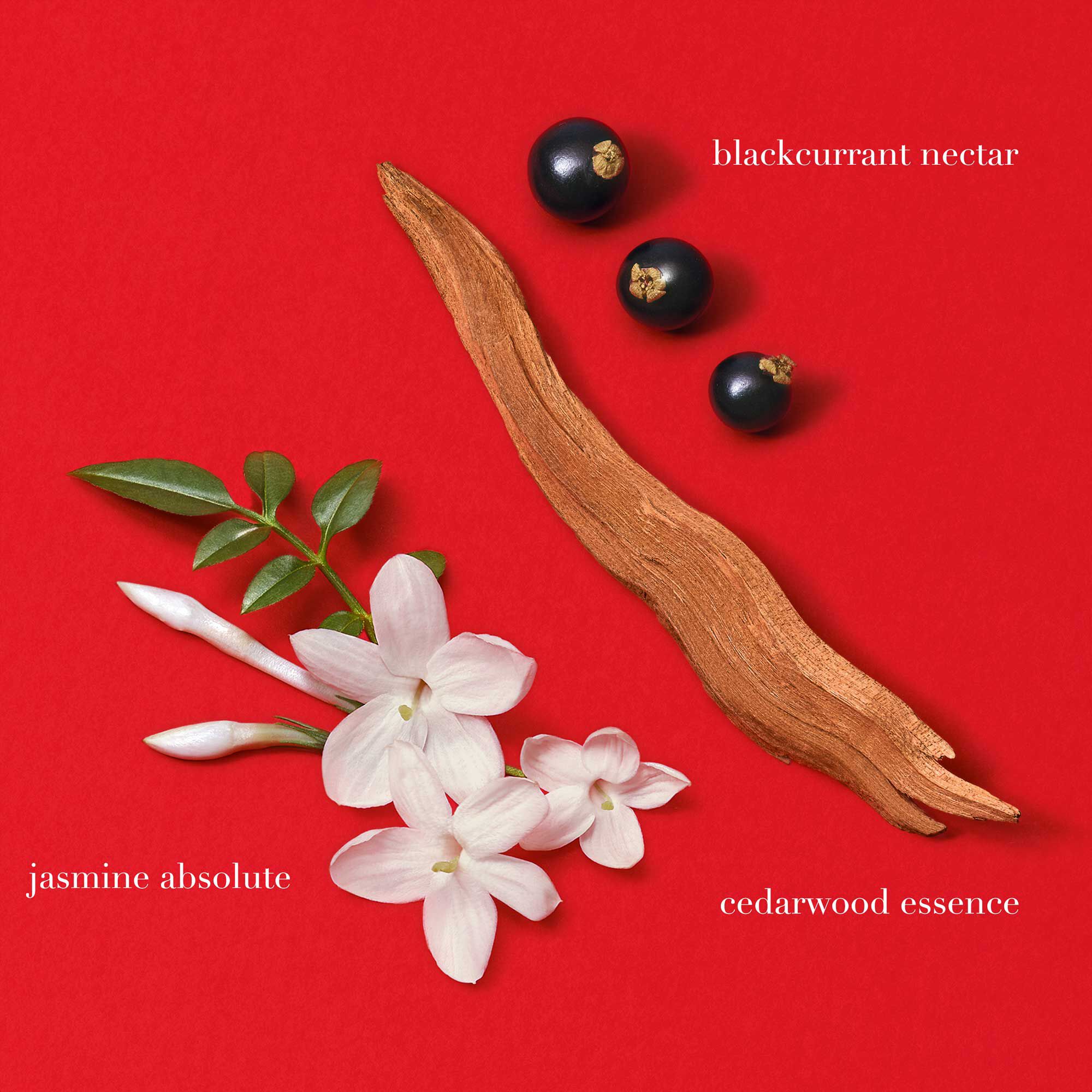 Si Passione Eau de Parfum - Recargable