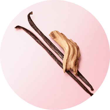 Vainas de vainilla y madera de cedro sobre fondo rosa claro, resaltando aromas naturales y gourmet.